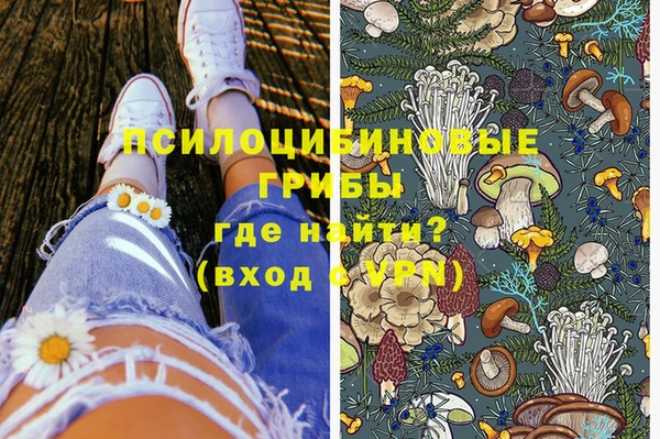 хмурый Арсеньев