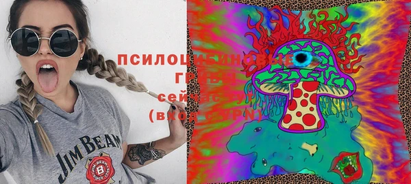Альфа ПВП Пересвет