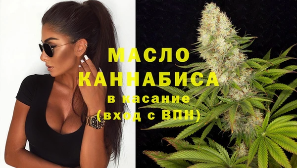 Альфа ПВП Пересвет