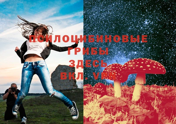 хмурый Арсеньев