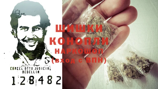 ешки Аркадак