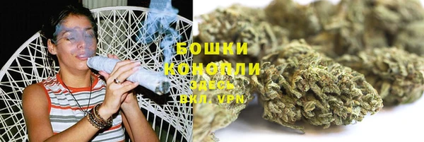 ешки Аркадак