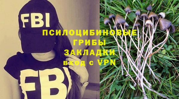 хмурый Арсеньев